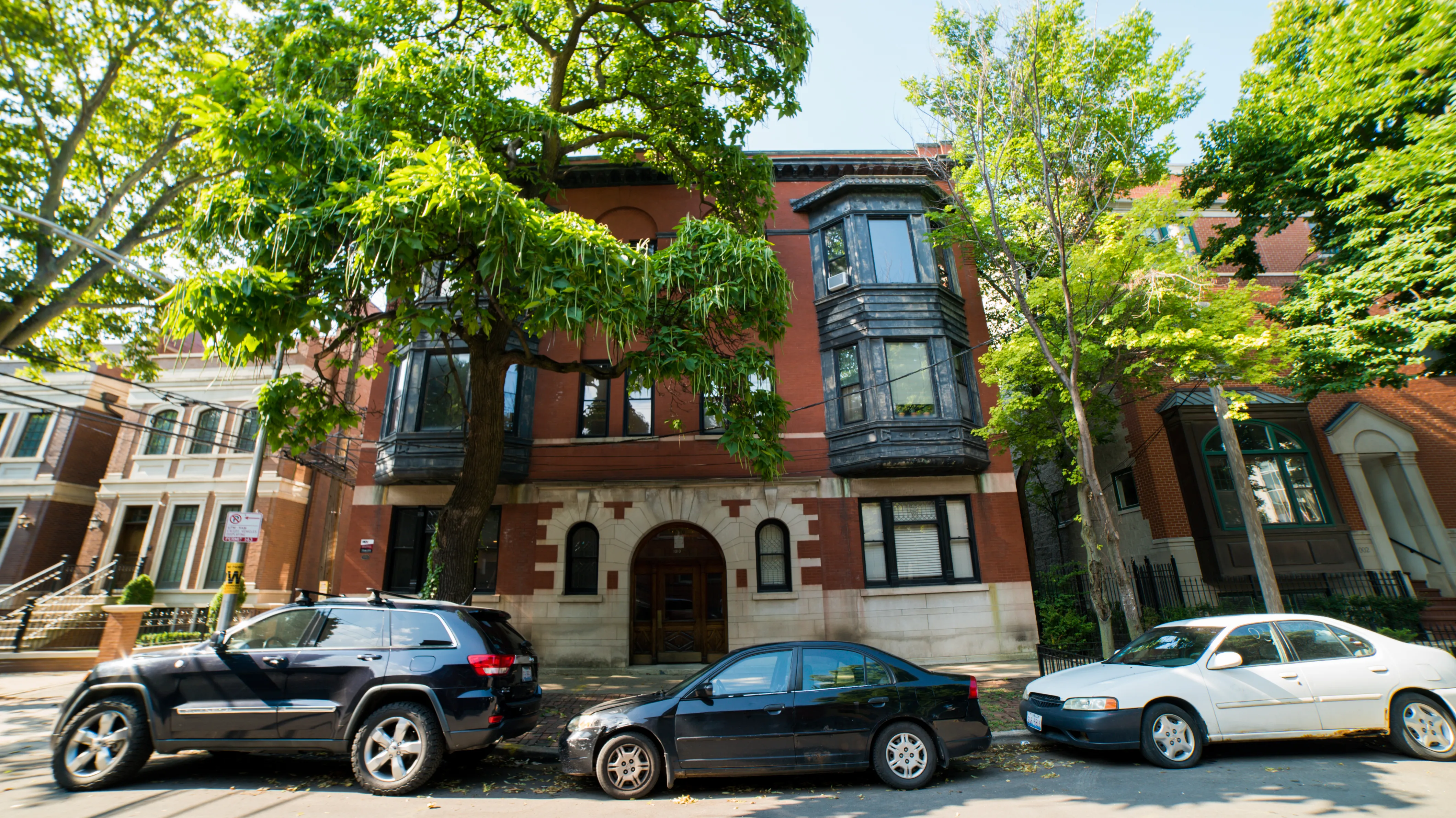 1010 W Altgeld Apartments for Rent Chicago Domu